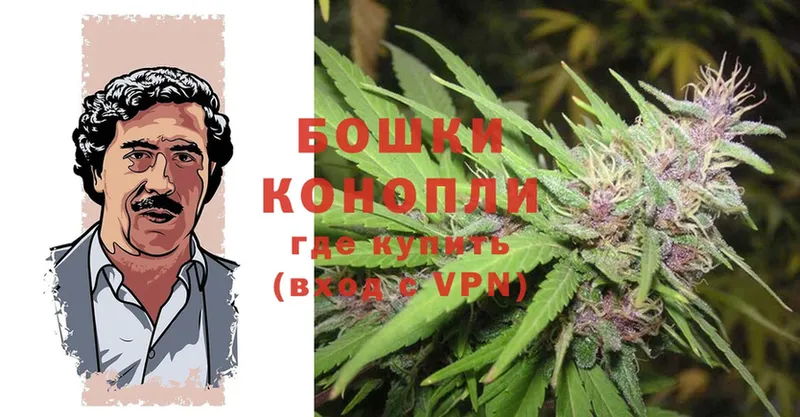 где можно купить наркотик  Губкин  Каннабис White Widow 